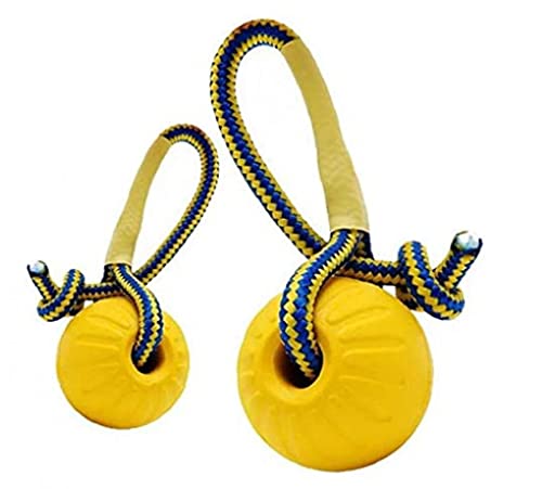 ���ߋ� �{�[�� ���Seva�f�� �X�g���b�v�t�� ���� ������ �X�g���X �^���s������ 9cm �C�G���[ 2�Z�b�g