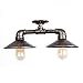 Produktbild NOSSON Industrielle Regenschirm Typ Wasserrohr Deckenleuchte Steampunk Retro Metall Eisen Decke Lager Lager Keller Lagerraum Schlafzimmer Innenbeleuchtung Deckenleuchte (2 Braun)