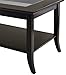 Winsome Genoa Rectangular Coffee Table with Glass Top And Shelf, Espresso