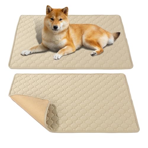 Almohadillas para perros PIPI, almohadillas de orina súper absorbentes para perros | Bandeja de arena reutilizable impermeable para mascotas para interior y exterior, viajes, cachorros, gatitos, casa