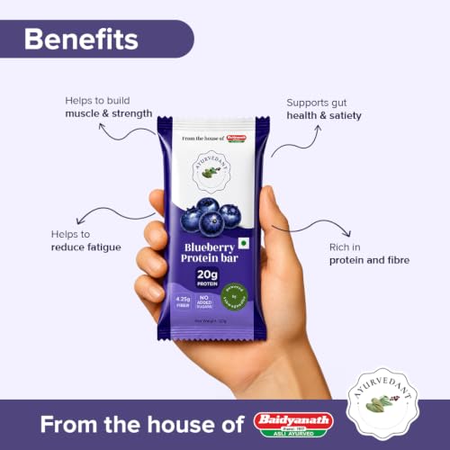 Image of Ayurvedant Blueberry Protein Bar, 6.7g High Protein, No Added Sugar, Energy Snack for Gym & Fitness, 20g