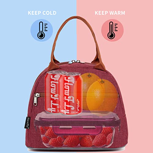 Flowfly Lunch Bag Tote Bag Lunch Organizer Lunch Holder Insulated Lunch Cooler Bag For Women/Men,Red #TOP1