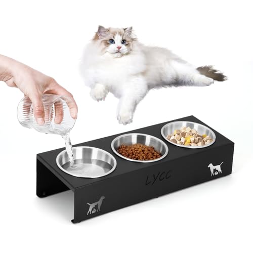 Elevated Cat Food Bowl,15°Tilted Stand Anti Vomiting Raised Cat Dishes for Food and Water,3 Stainless Steel Bowls,Non-Slip No Spill,Cats and Puppy