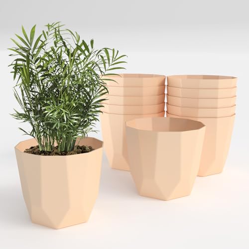Image of YUCCABE ITALIA SHERA Hexa Plastic Planter Pot for Plants | Decorative Flower Pot | UV Protected Lightweight Indoor Outdoor Gamla for Home Decor, Balcony, Garden & Living Room