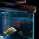 MAYOKIAAR 12 Stück Aquarium Heizer Saugnäpfe, Schwarze Saugnapf Aquarium Heizungsclip 24mm, Geeignet Für Standard-Heizerbefestigung