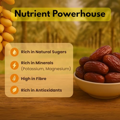 Image of Earthen Story Jumbo Medjool Dates 500g | No Added Sugar or Preservatives | Rich in Fiber & Potassium | Healthy Snack | Natural, Soft Khajoor | Glueten free Khajur