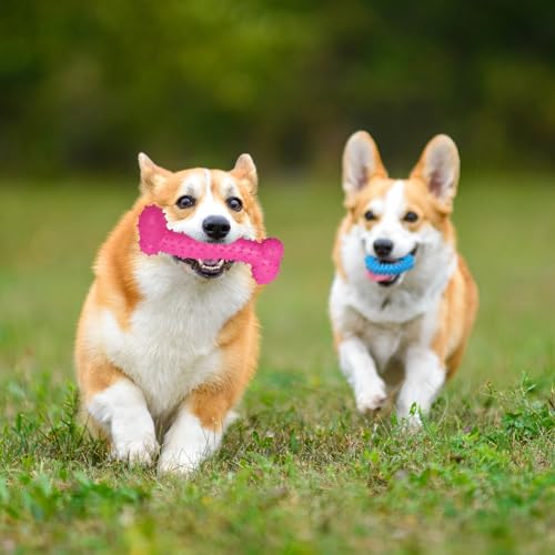 KEORHEZ Welpe Zähne Kauen Spielzeug 10Pcs, Juckreiz Kleine Hunde Welpenspielzeug Ring, Gummi Kauspielzeug Mundgesundheit Welpen Interaktives Naturkautschuk Spielzeug Kleiner Ring für kleine Hunde