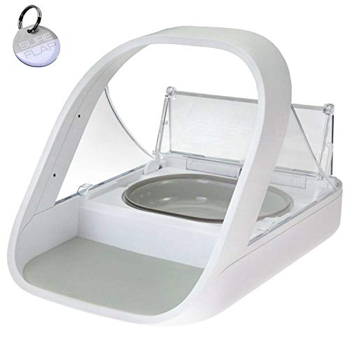 4 Best Microchip Cat Feeders Honest Review & Buyer’s Guide