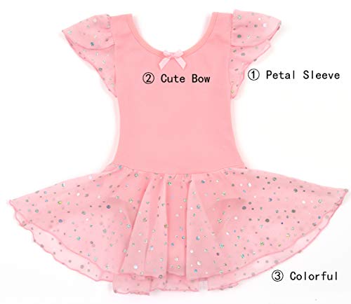Image of DANSHOW Girls Glitter Leotards for Ballet Dance Dress with Tutu Skirt Petal Sleeve