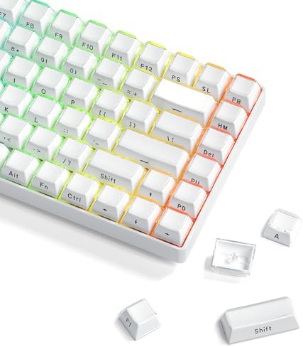 XVX Key Cap 113 Keys Crystal Clear Key Cap Letter Side Engraving OEM Profile 113 Keys Custom for 61/68/84/87/98/100 Cherry Gateron MX Switch Mechanical Keyboard Keyboard Key Cap White