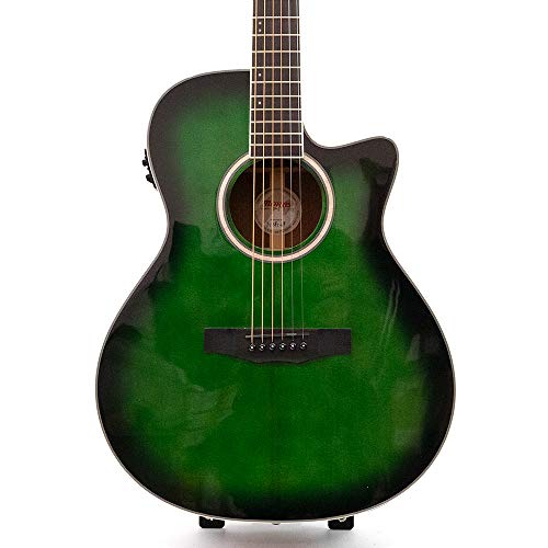 Amazon | MORRIS R-011 FBU (ファインブルー) エレアコギター