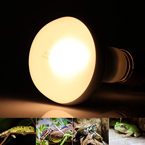 Wobekuy Terrarium Heat Lamps 2 Pack 75W Reptile Light UVA Heat Lamp Bulb Bearded Dragon Accessories for Reptiles 220V - Image 3