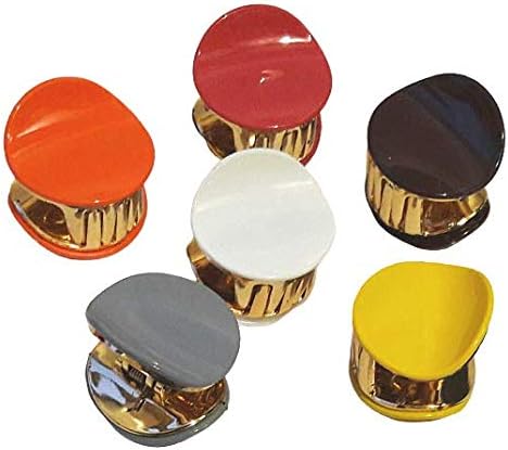 Pawan Plastic PP Premium Girls Stylish Medium Daily Use Plastic Hair Claw Clips Clutcher for Girl and Women | (6 Pieces , Multicolour)