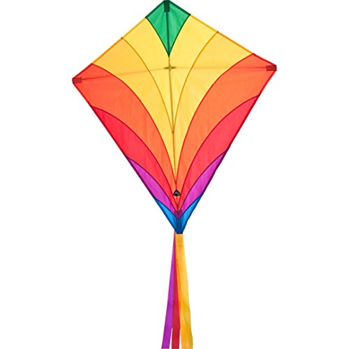 X-Kites DC Sport Kite 75 - Dual Control Nylon Kite (Rainbow)
