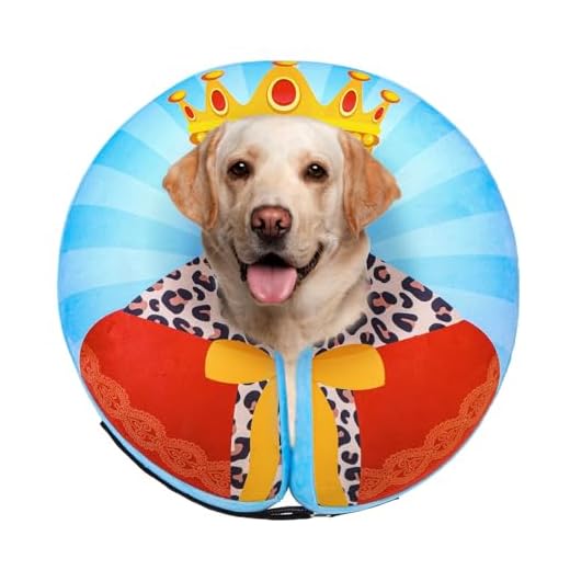 SCENEREAL Inflatable Dog Recovery Collar