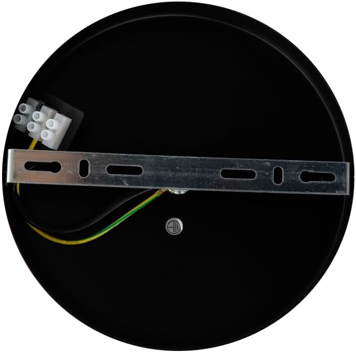 Mounting plate and wiring for ceiling lamp