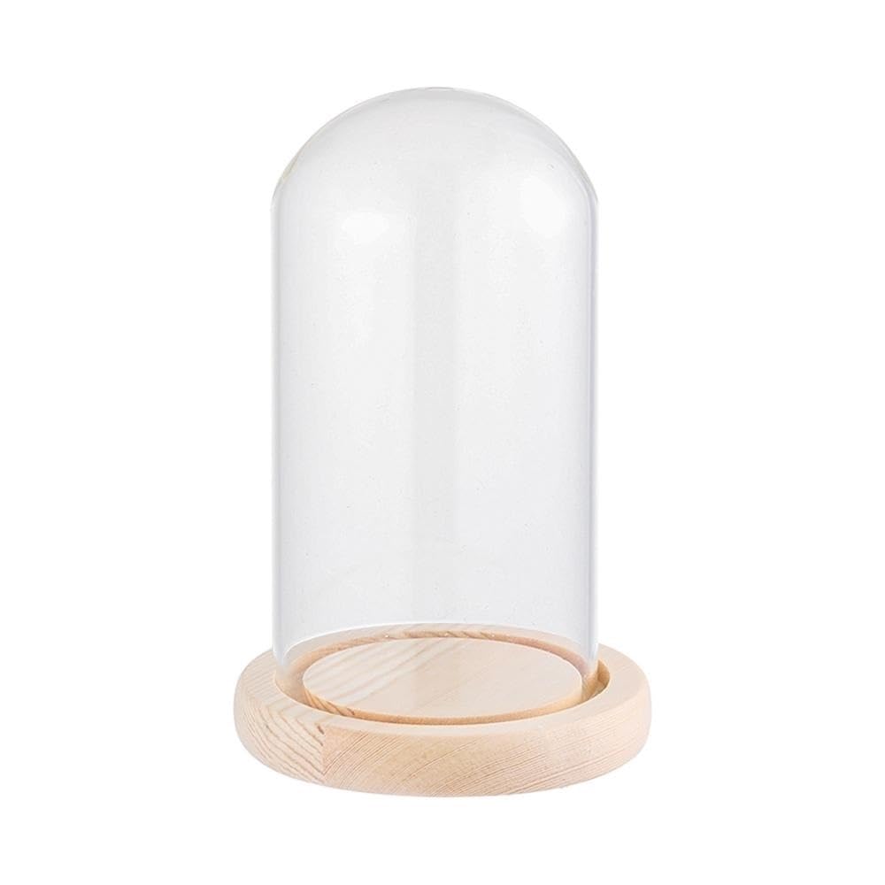 LOMNCHSG Glass Cloche Dome, Glass Cloche Jar Wooden Base Display Stand Cover Terrarium Bottle Box Multiple Sizes 1pc(8x15cm)
