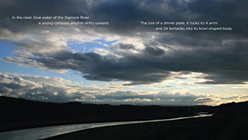 Jellyfish 1608185680 Book Cover