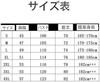 柏レイソル 百年構想リーグ レプリカユニフォーム XOサイズ No.8小泉佳穂 Amazon.co.jp: [RWRAPS] 対応柏レイソル 2026-2027年 ホーム 百年構想