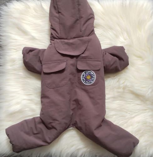 qhbO uE t[ht p[X MTCY