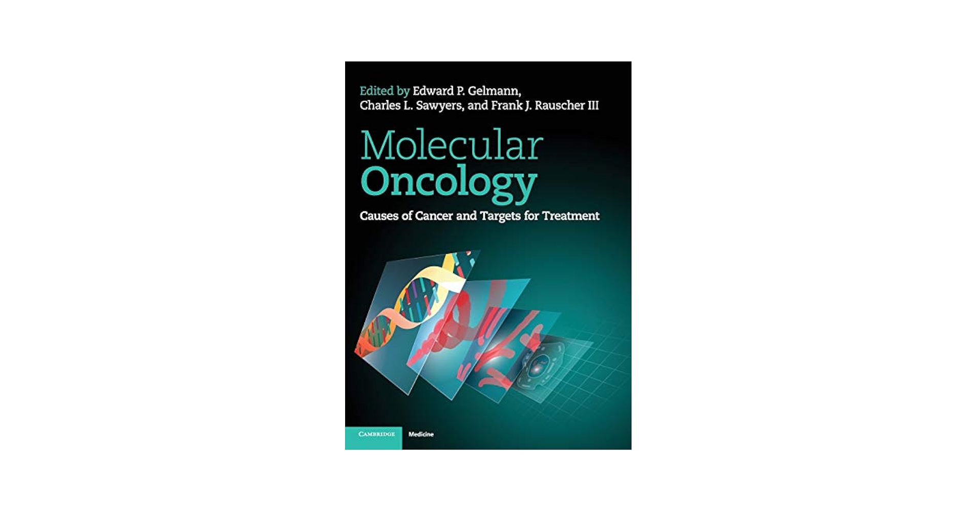 語学・辞書・学習参考書 Molecular Oncology Molecular Oncology: Causes of Cancer and Targets for