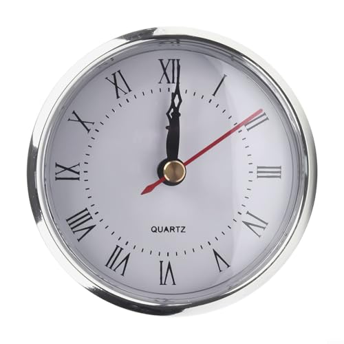 Reloj de cuarzo de alta visibilidad de 80 mm con esfera transparente y junta segura (romano)