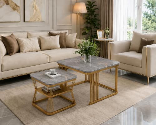 Image of Brown Art Shoppee Set of 2 Modern Coffee Tables with Marble Finish Top, Metal Frame, Nesting Center Table & End Table for Living Room Home Decor (Golden & Grey)