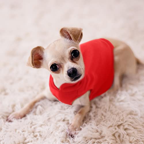 Satinior Dog Fleece Vest 4 Pieces Dog Cold Weather Pullover Dog Cozy Jacket Winter Dog Clothes Pet Sweater Vest With Leash Ring For Small Dogs (Purple, Rose, Avocado, Bright Red, S) #TOP5