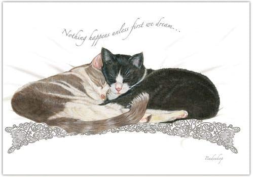 Cats Yin and Yang Blank Note Cards Boxed