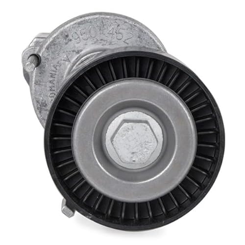 INA 534 0123 20 Spannarm Keilrippenriemen Kompatibel mit VW Golf IV Schrägheck 1J1