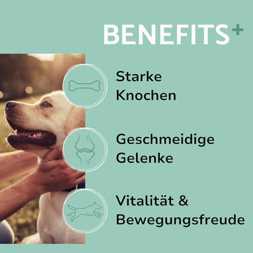 PUURY® Gelenk-Komplex für Hunde | Unterstützt Knochen & Gelenke | Leckerer als Gelenktabletten | Mit Grünlippmuschel, Kollagen, Kurkuma, Glucosamin, Lachsöl | 90 Leckerlis (270g), 3 Monatsvorrat