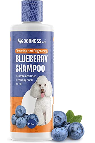 Blueberry Dog Shampoo - Dog Whitening Shampoo to Brighten & Whiten Coat - Natural Whitening Shampoo for Dogs and Cats - Blueberry Dog Shampoo - Puppy Shampoo for Small Dogs Tear Free - 16 oz