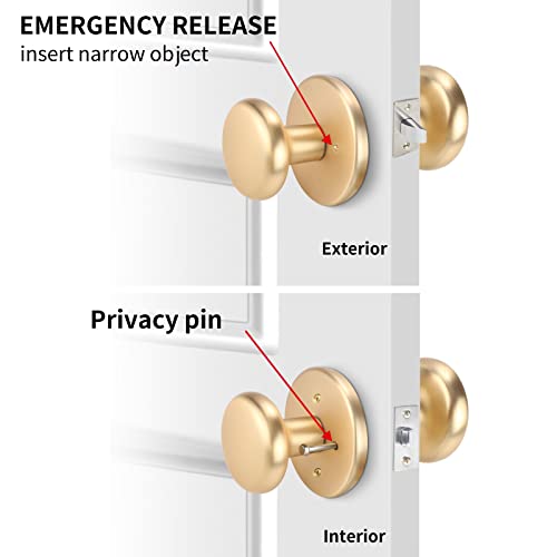 Dairazan Brushed-Brass Privacy Interior Bedroom Bathroom - Keyless Door Lock, Solid Door Knobs #TOP5
