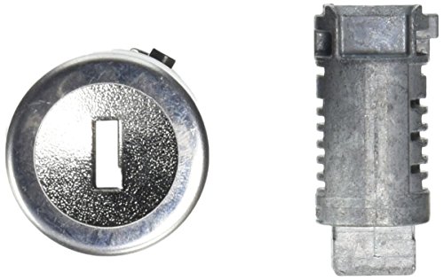 Cylindre d ignition Motorcraft SW6991 pour le demarrage de votre vehicule