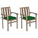 ShGaxin Sedie da giardino 2 unità, Sedie Terrazza Esterna, Sedia Spiaggia Giardino, Sedie da giardino Giardino, Sedie Balcon, Legno di Teak con Cuscini Verde immagine