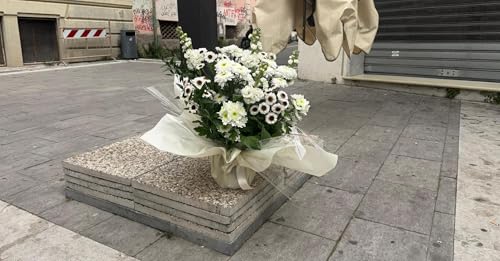 Massa, la prevalenza di minori nell'omicidio Bongiorni colpito a terra