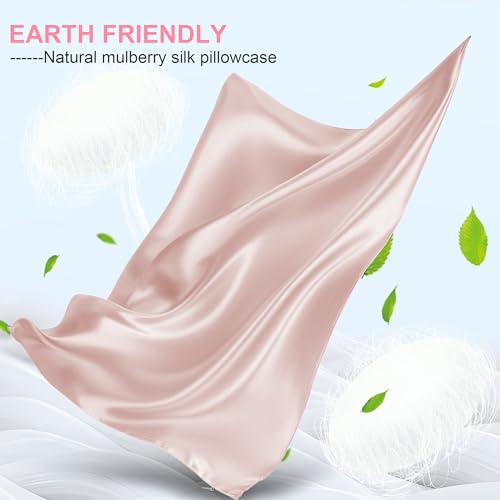 Mulberry Silk Pillow Cases 2 Pack Queen Size 20x30 Inches with Hidden Zipper, Ultra Smooth and Soft Breathable Cooling Silk Satin Pillowcase Set of 2, Better for Hair and Skin, Gifts for Women Men