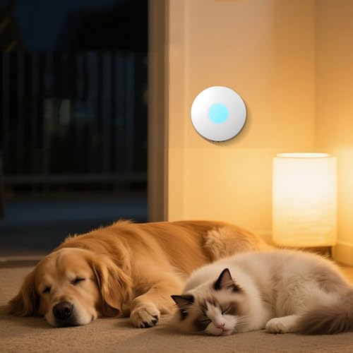 Purificateur d'air pour bac à litière rechargeable à haute efficacité