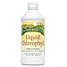 Sunny Green Liquid Chlorophyll, Unflavored, 16.2-Ounce
