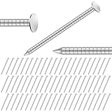Tandefio 2 Pounds Box 1-1/2 Inch Siding Nails 304 Stainless Steel Roofing Nails Flat Head Hardware Nail Shingles Roofing Tile and Slating Nail for Wall, Siding, Hardware, Cedar Wood, Decking