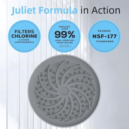 Pomme de douche haute pression en ABS chromé avec filtre au design élégant