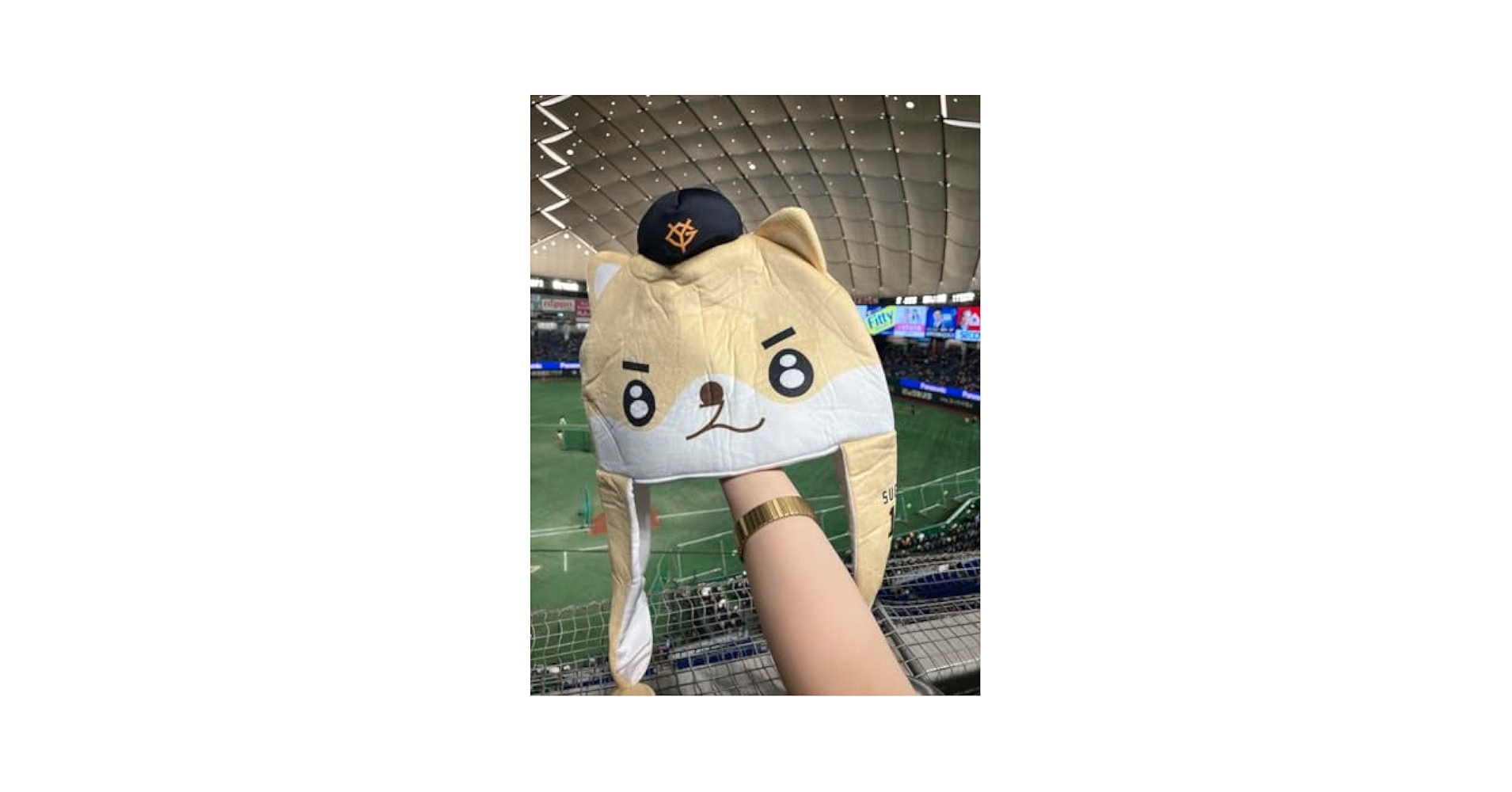 Amazon.co.jp: 菅野智之 ジャイアンツ 桃福ちゃん ファン