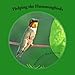 Helping the Hummingbirds