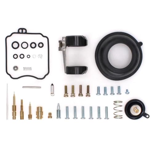 Kit de reparación de carburador para motos V Star 250 y Route 66