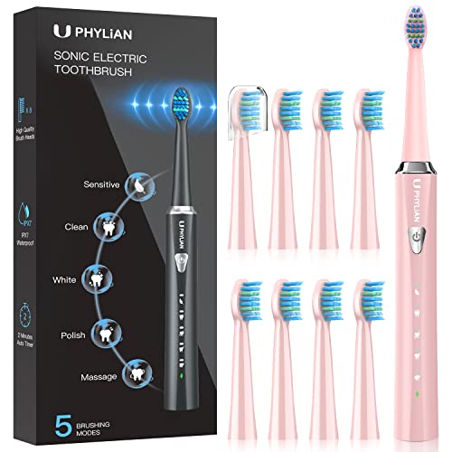 Best Electric Toothbrushes Canada Best Cost