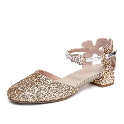 AOQUNFS Girls Dress Shoes Sequin Latin Ballroom Dance Shoes Mary Jane Low Heels Wedding Party Sandals,DS-63