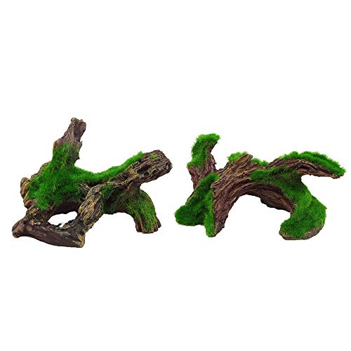 10 Best Fish For 75 Gallon Freshwater Aquarium in 2024 (January update)