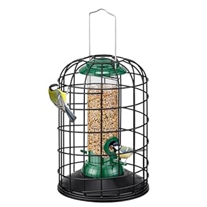 iBorn Vogelfutterspender mit Käfig gegen Eichhörnchen, Futterhaus für Vögel, Vogelhaus zum Aufhängen im Außenbereich, Robustes Metall, Grün，20,3cm