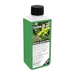 GREEN24 Concime per Olivi Professionale – Fertilizzante Liquido NPK Speciale per Olea Europaea, Piante Mediterranee in Vaso, Giardino, Terrazzo e Balcone – Concentrato 250ml