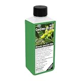 GREEN24 Concime per Olivi Professionale – Fertilizzante Liquido NPK Speciale per Olea Europaea, Piante Mediterranee in Vaso, Giardino, Terrazzo e Balcone – Concentrato 250ml
